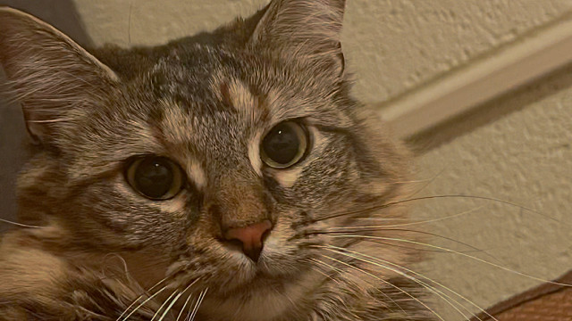 宝宝你是一个行星发动机