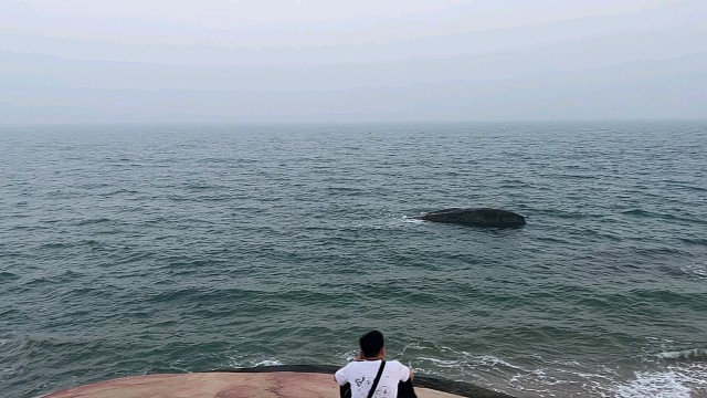 海边看着真舒服