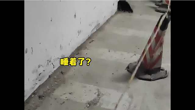 盘点近视眼的尴尬瞬间，五米以内雾里看花，十米之内人畜不分
