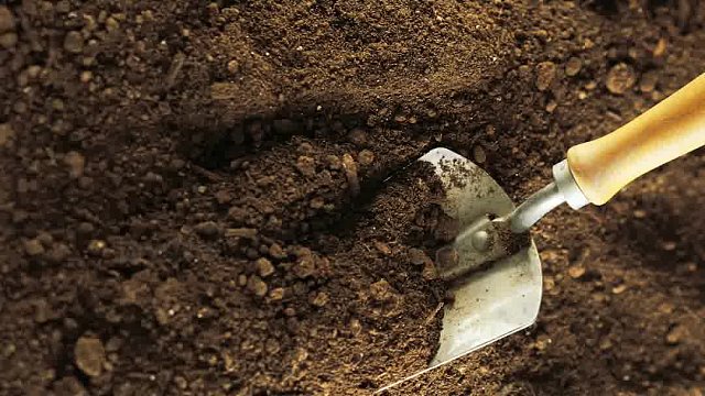 人体胶囊埋葬法，你听说过吗？