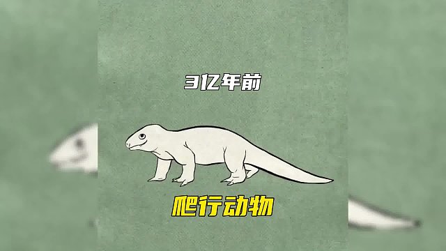 人类从鱼类到人类的进化过程，历经多少亿年沧海桑田，你相信多少？