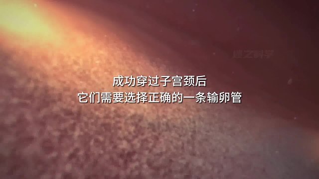 人类诞生的过程，进化真是个神奇的东西