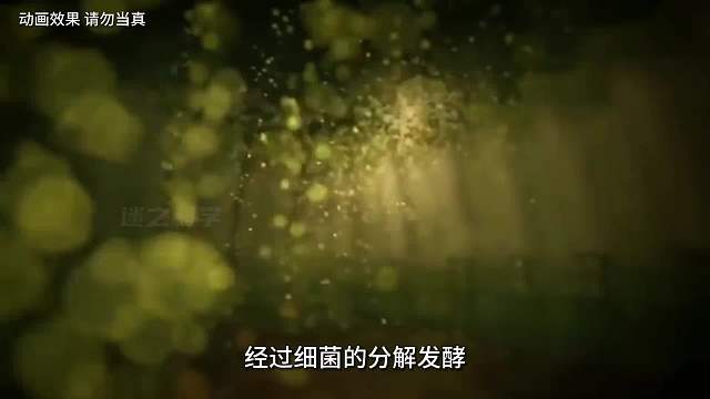 你每天拉的大便都去哪了？让我们一起以粑粑粪便的视角，一起去探寻一下它们最终的归途