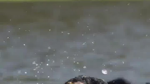 这样囫囵吞鱼能吃出来什么味道呀？