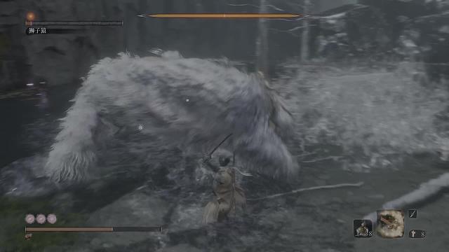 欢迎来到我的直播间-狮子猿