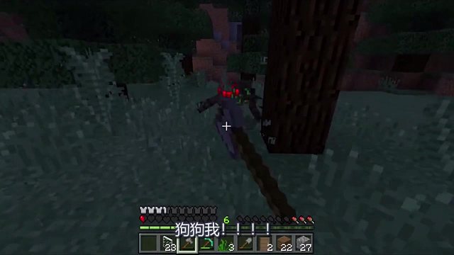 我的世界联机17：出门“采花”却差点被打死，果然采花不对啊