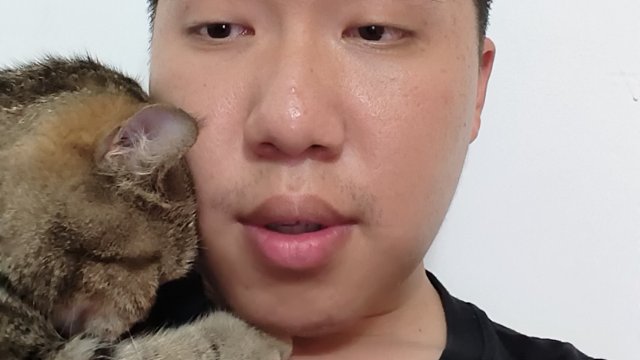 emo了，抱着猫咪唱首歌缓解心情！