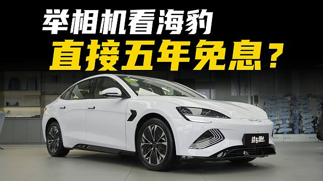 沉浸式买海豹？