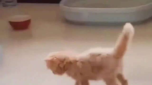 浅......浅燃一下