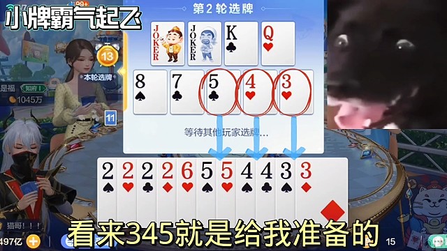 小牌霸气起飞啦。