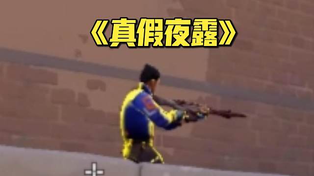 你是假的那么刚才那个是？