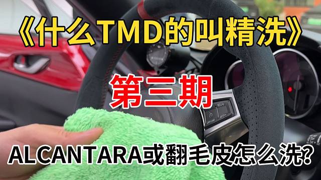 《什么叫TMD精洗》之alcantara或翻毛皮怎么洗？