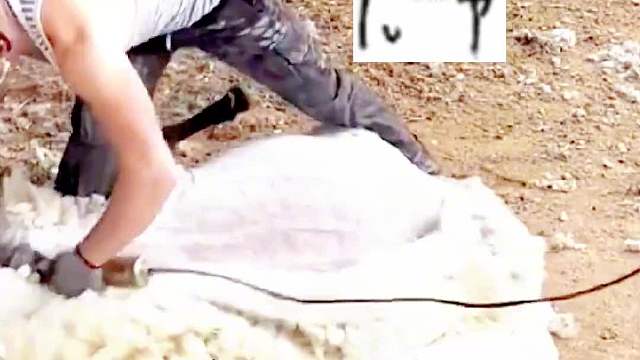 我还没说剪什么发型呢，你就给我剃光了