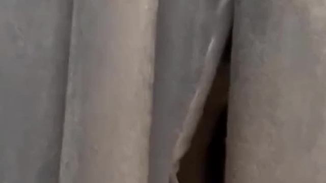 沙雕动物在这里008