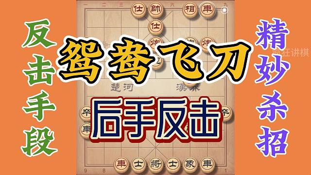 鸳鸯炮的正确走法，后手反击强有力的手段之一，非常的犀利有用