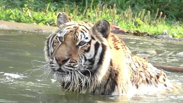 出太阳咯~舒舒服服泡个澡