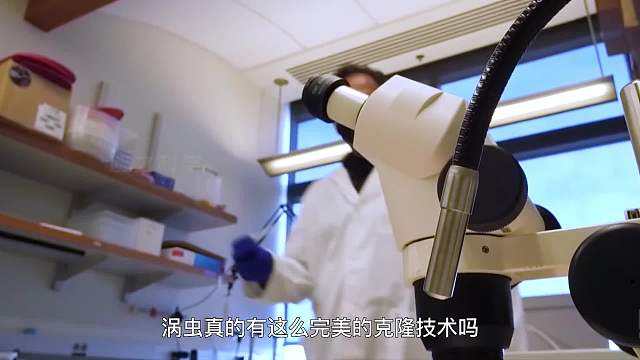 如果你也能拥有涡虫一样的再生能力，你最想用它来做什么？