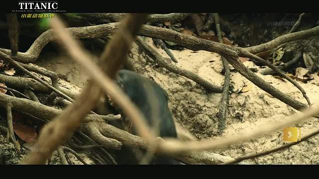 好邻居 出场最帅 ，死的最快