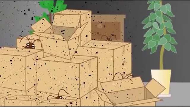 宝，以后别再用脚踩蟑螂了！