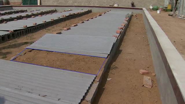 300平方米的池子里，养了1万只冷血动物