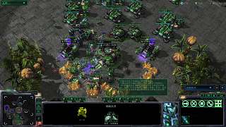 第二屆老虎杯第4日 貓咪杯22第一日8