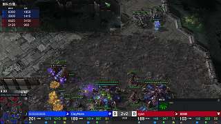 第二屆老虎杯第4日 貓咪杯22第一日4