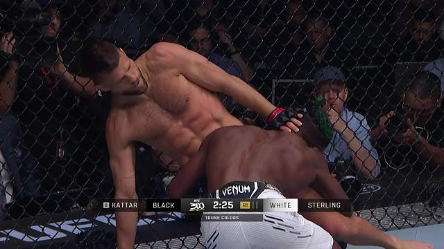 UFC300 加尔文·凯塔尔 VS 阿尔加麦恩·施特林 清流