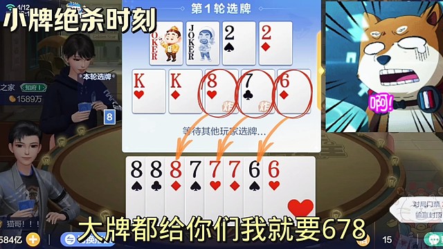 小炸弹小牌起飞时刻！