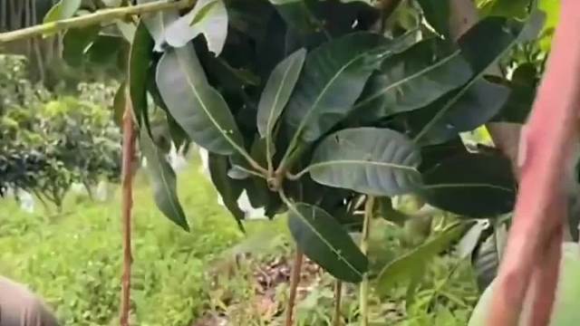 愿世间少一点欺骗，多一点真诚