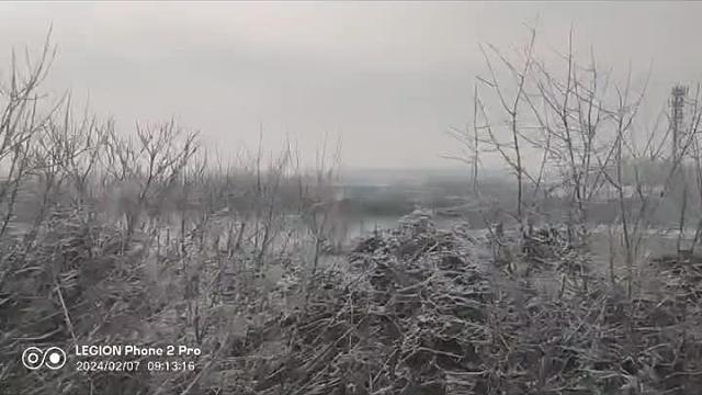 道友留下到我碗里可好？