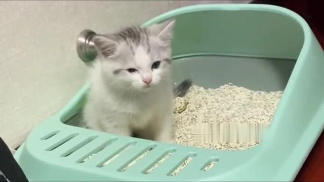 看什么看，有你便秘的时候