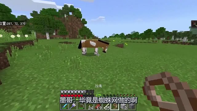 我的世界联机75：墨哥的马掉到坑里变成猪？这是怎么回事（2）