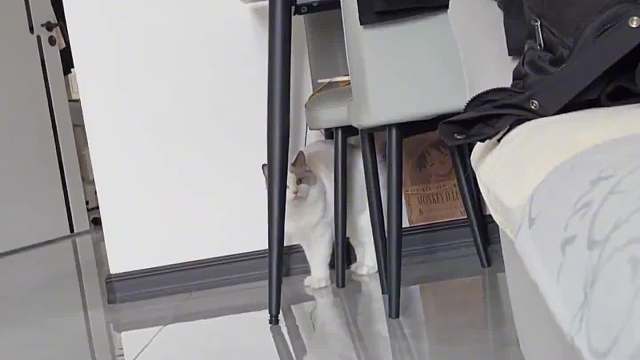 原来世上真的有上天注定的缘分！