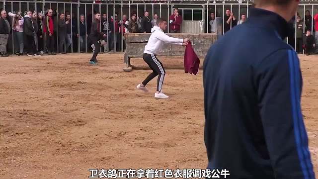 你敢摸发狂的公牛角吗？摸的次数最多即可获得10万美金！