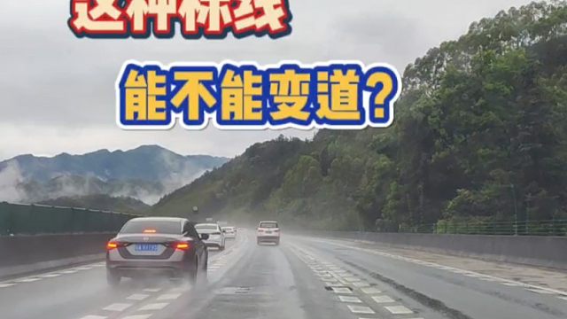 这种鱼骨线能不能变道？新手朋友要明白