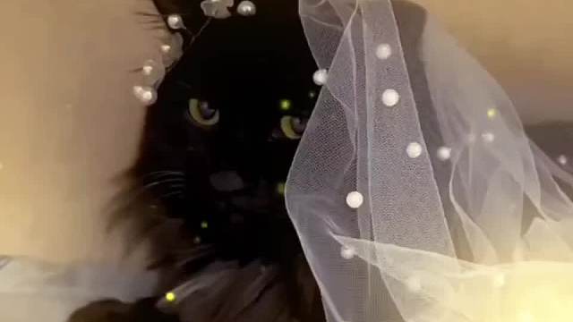 原来世界上真的有上天注定的缘分！