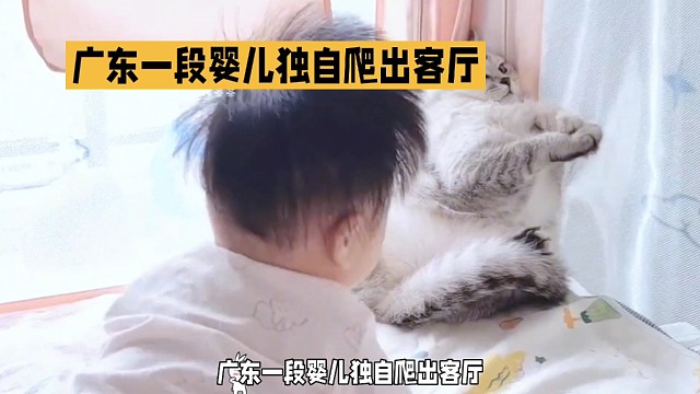 广东一段婴儿独自爬出客厅，猫咪警觉守护的监控视频走红网络。
