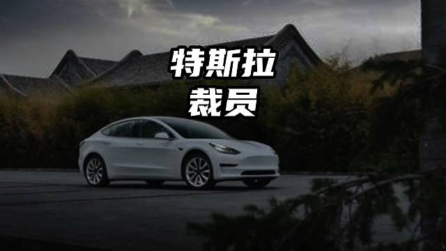 特斯拉全球大裁员 特斯拉全球大裁员#特斯拉 