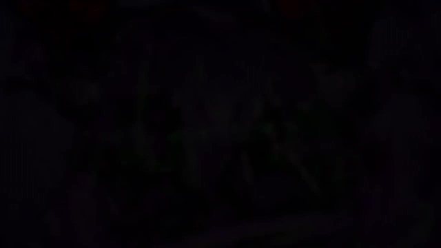 总是兴高采烈的去奔赴一场未知的悲剧