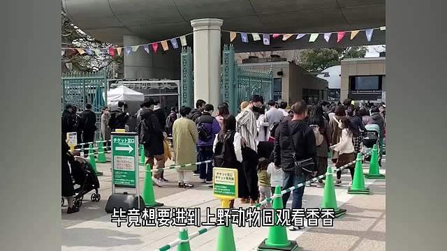 香香回国后日本猫粉泪洒现场，不愧是日本女顶流