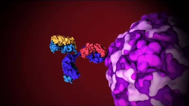 西瓜盛宴后的禁忌触碰：揭秘那些意想不到的隐患