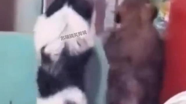 艾特世界上最可爱的女孩！