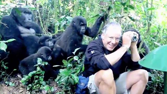 被一群猩猩围着要香蕉，是什么感受