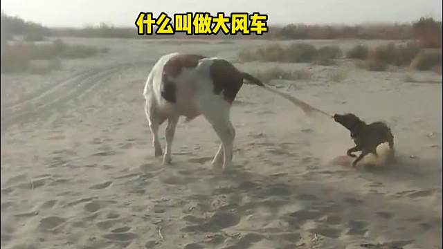 送你一场免费的刺激