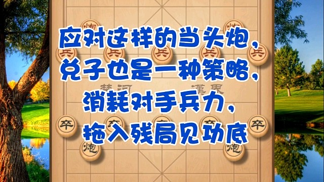 应对这样的当头炮，兑子是一种策略，消耗对手兵力拖入残局见功底