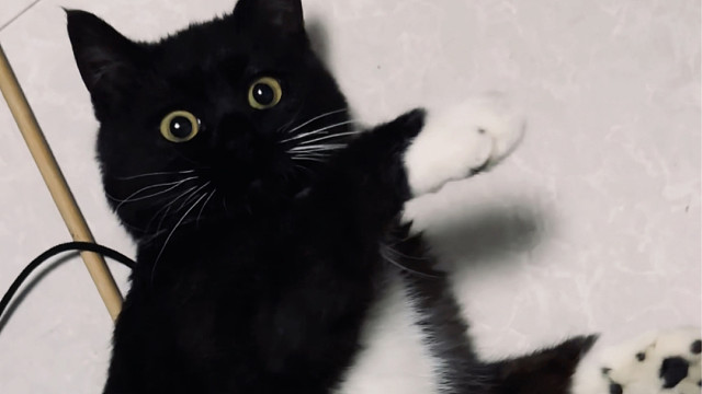 没想到我出去租房这件事还会有新的变化