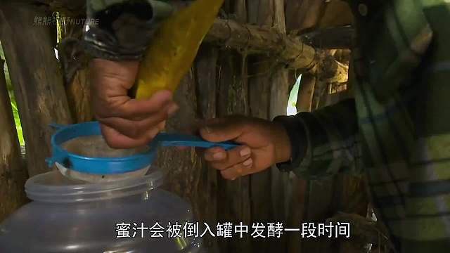 龙舌兰蜜汁酒，阿兹特克人的传统佳酿