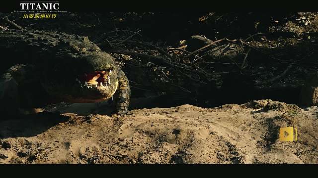 我很懒 晒晒太阳，伸伸懒腰，看看风景