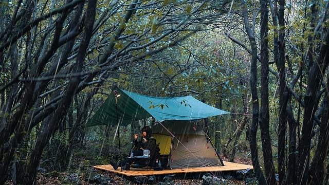 一场无计划的雨中露营！古老的森林一切都那么神秘！大雨声助眠.露营电影