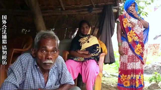 老虎跑进村庄伤人，被乱棍打si